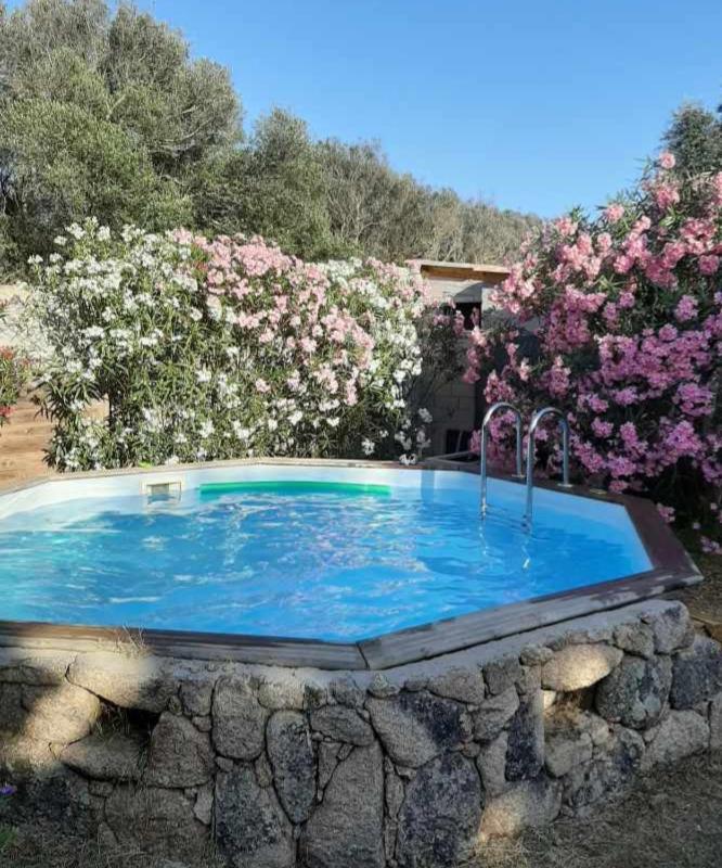 Mini Villa Giuseppina Bonifacio (Corsica) Exterior foto