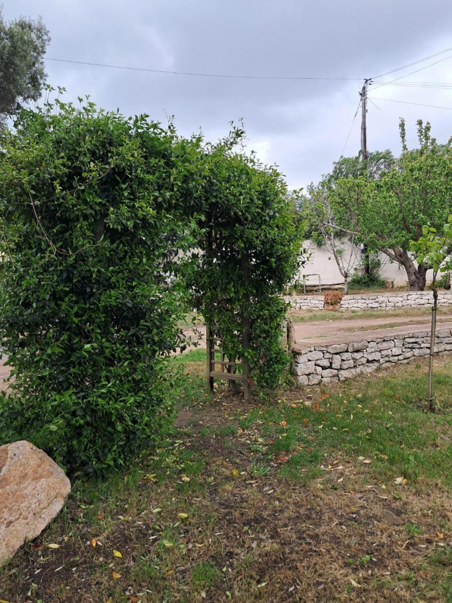 Mini Villa Giuseppina Bonifacio (Corsica) Exterior foto